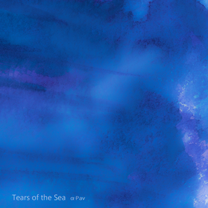 欧美特级BBBBBBBBBBBB
